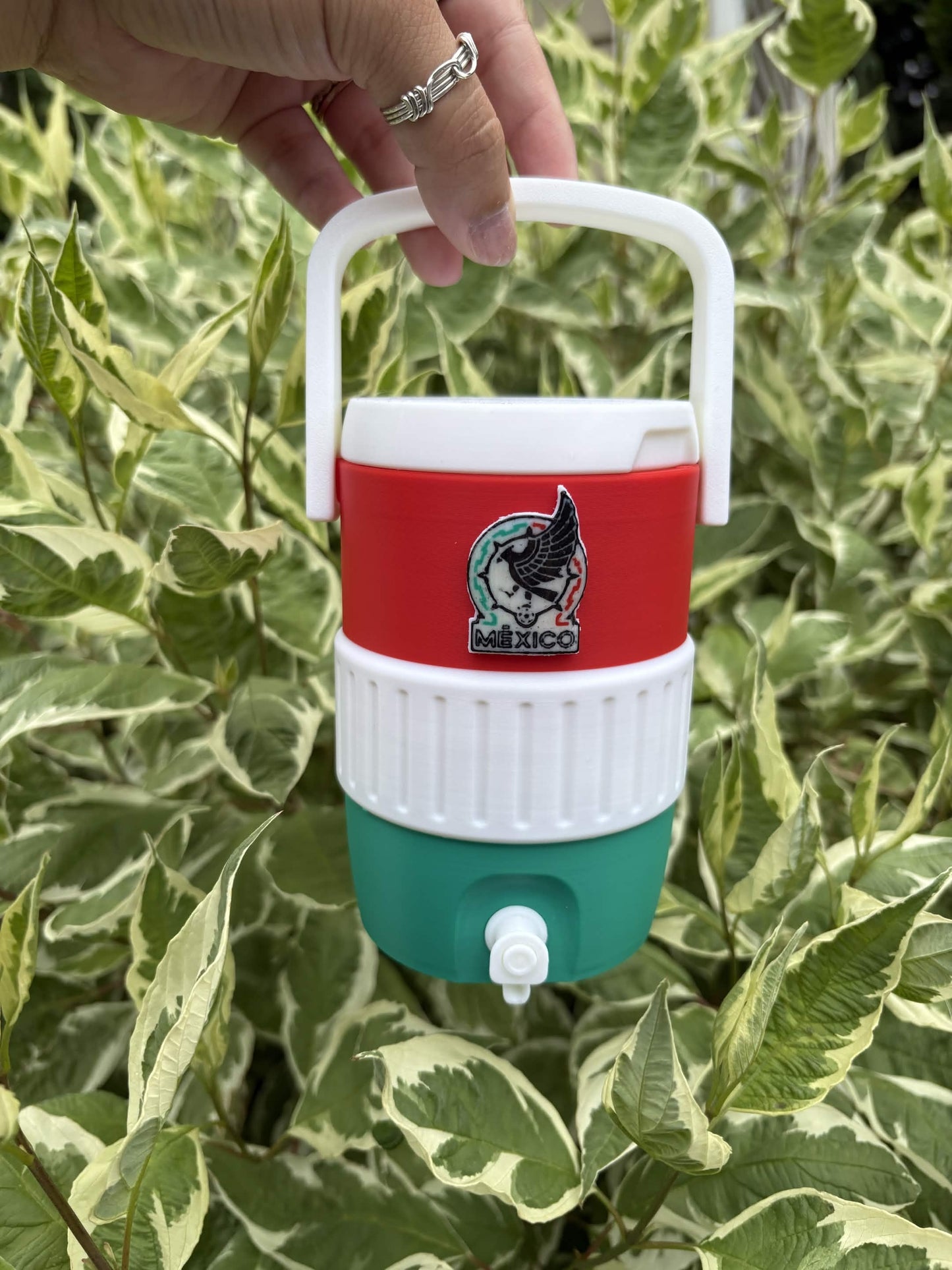 Mexico Can Holder